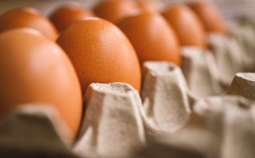 Tojástermelők: tojáshiány alakulhat ki az árstop miatt