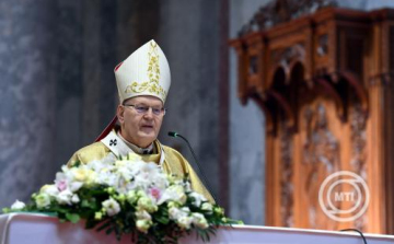 XIV. Leó pápa - Erdő Péter: Robert Prevost pápává választása benne volt a levegőben